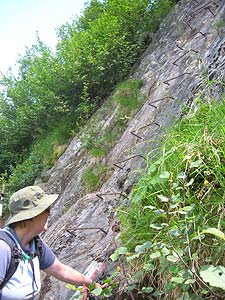 Ladder used in descent to the Simmingbach cirque