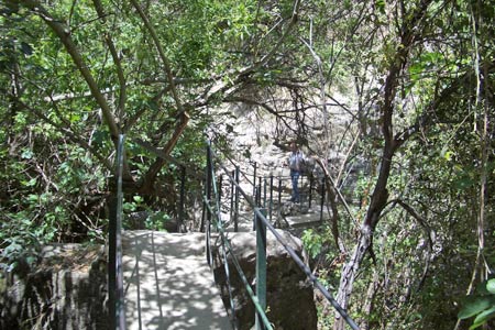 Path between Benamahoma and El Bosque