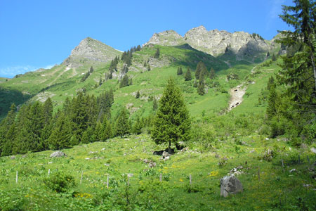 Above the Vieze valley