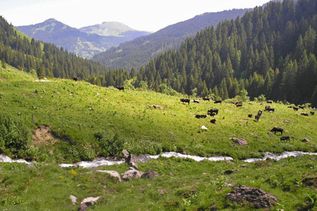 Looking down the Vieze valley