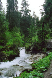 The Chemin des Ponts goes along the Vieze de Morgins