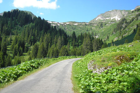 Looking back towards La Tovassiere