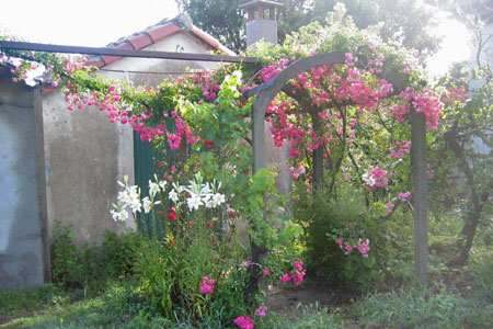 A flower decked hut dedicated to nature