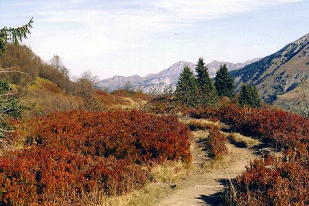 At start of Arete des Fours section
