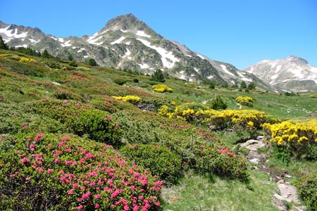 Above the Lac des Bouillouses