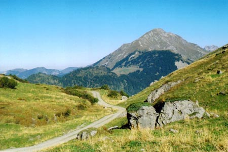 Mont de Grange from above Plaine Dranse