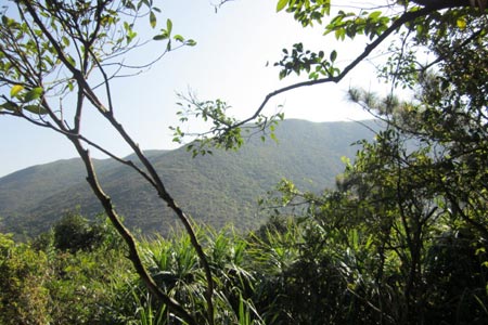 Looking up to the Dragons Back from near Big Wave Bay