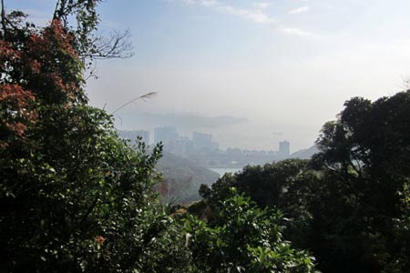 Photo from the walk - A short walk around the Peak - Hong Kong Island