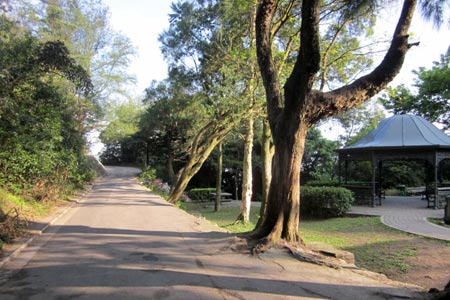 Picnic site on Harlech Road