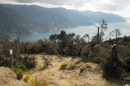 The path junction at Punta Mesco