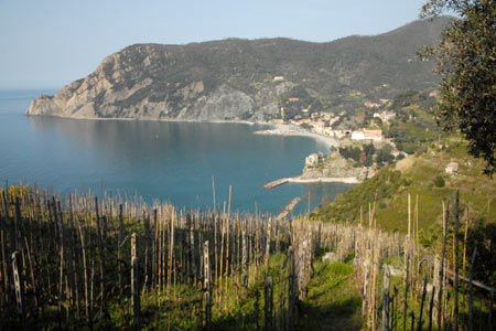 The view over Monterosso
