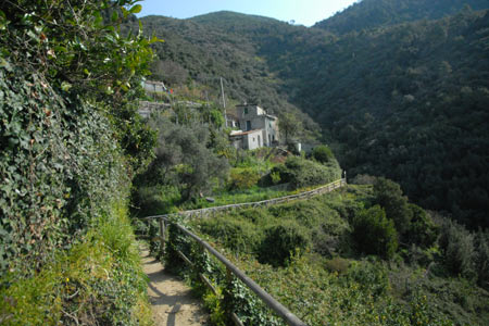 Along the path between Monterosso and Vernazza
