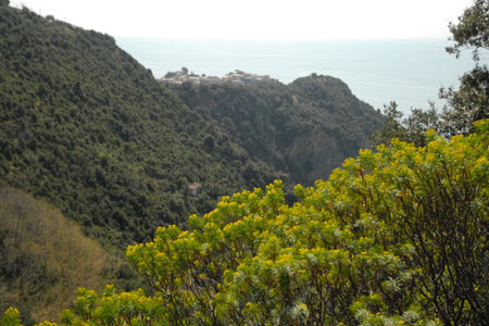 Corniglia from the coastal footpath