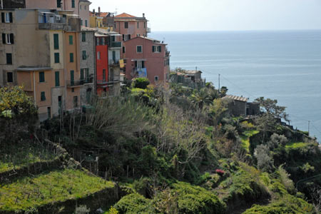 Corniglia occuipies a hilltop location above the sea
