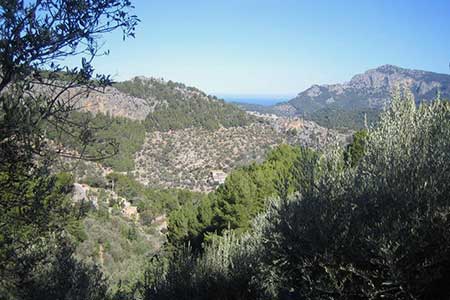 Photo from the walk - Soller to the Port de Soller
