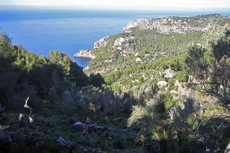 Above Llucalcari
