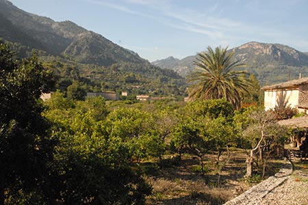 Mountain view from road to Biniaraix