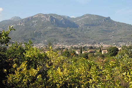 View to Soller from near Fornalutx