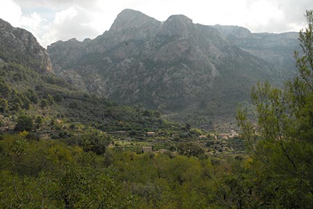 Terraces below the mountains, Fornalutx
