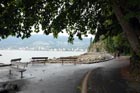 Photo from the walk - Stanley Park, Vancouver