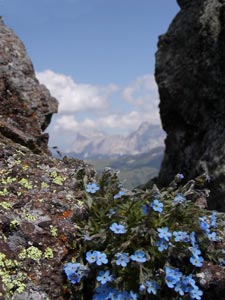 View towards the Fanes group